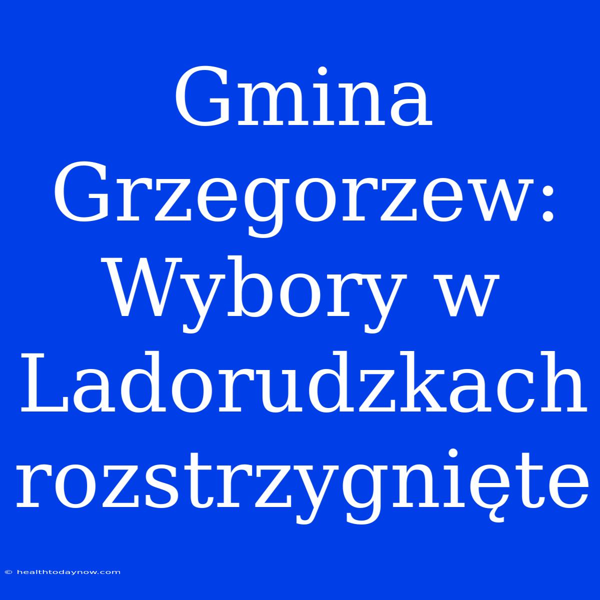 Gmina Grzegorzew: Wybory W Ladorudzkach Rozstrzygnięte