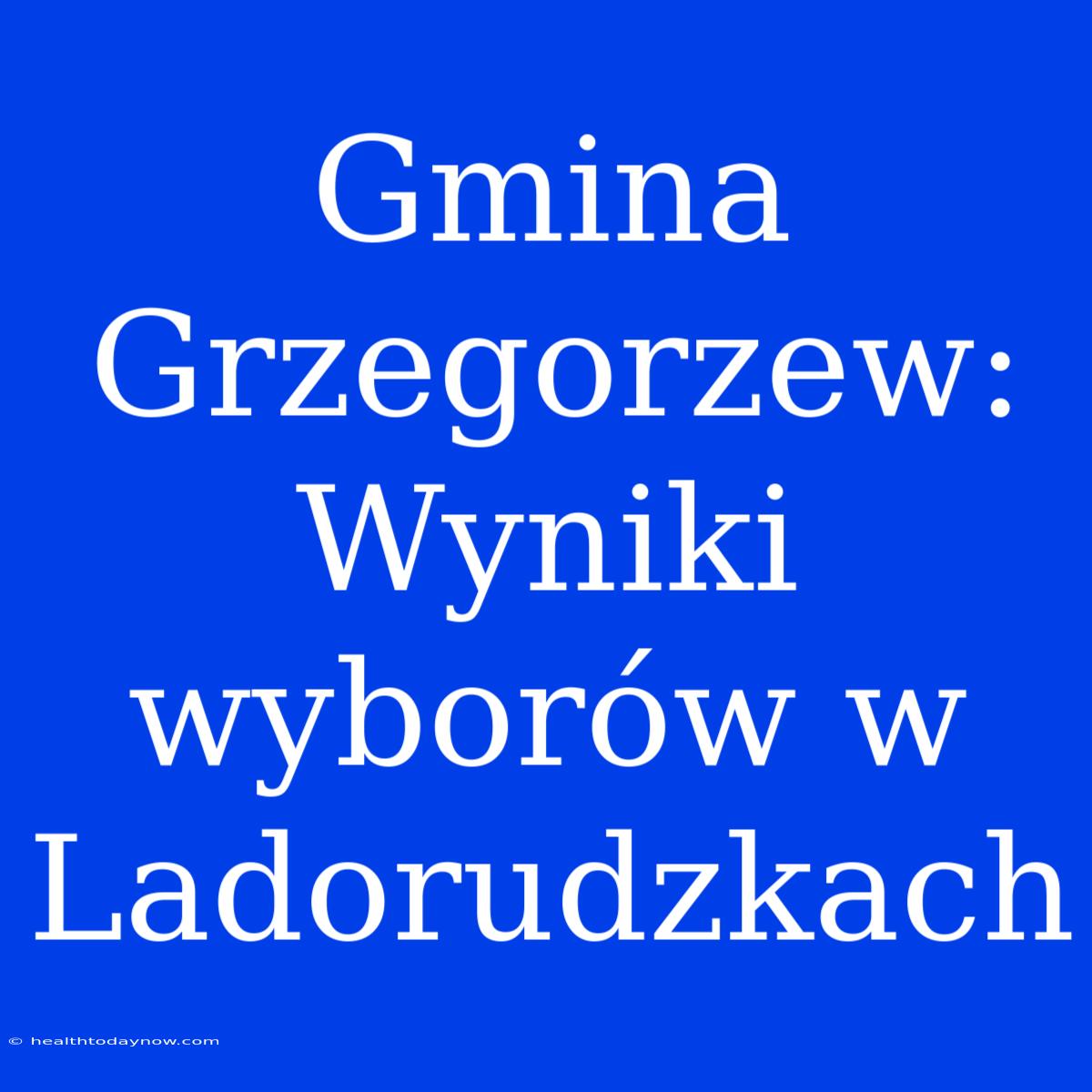 Gmina Grzegorzew: Wyniki Wyborów W Ladorudzkach