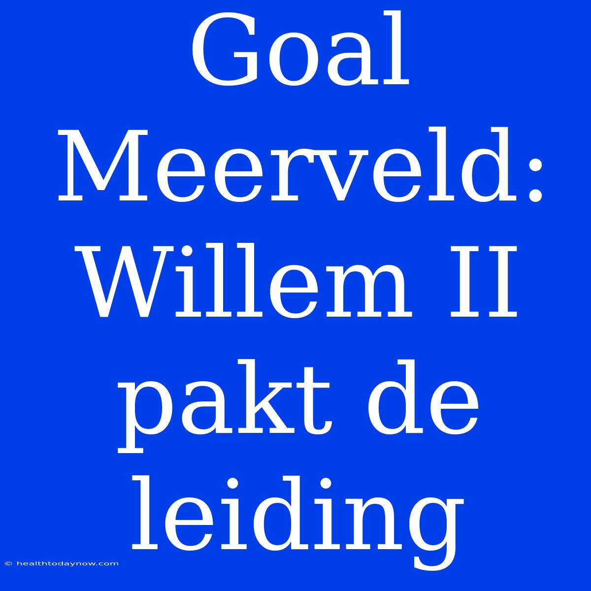 Goal Meerveld: Willem II Pakt De Leiding