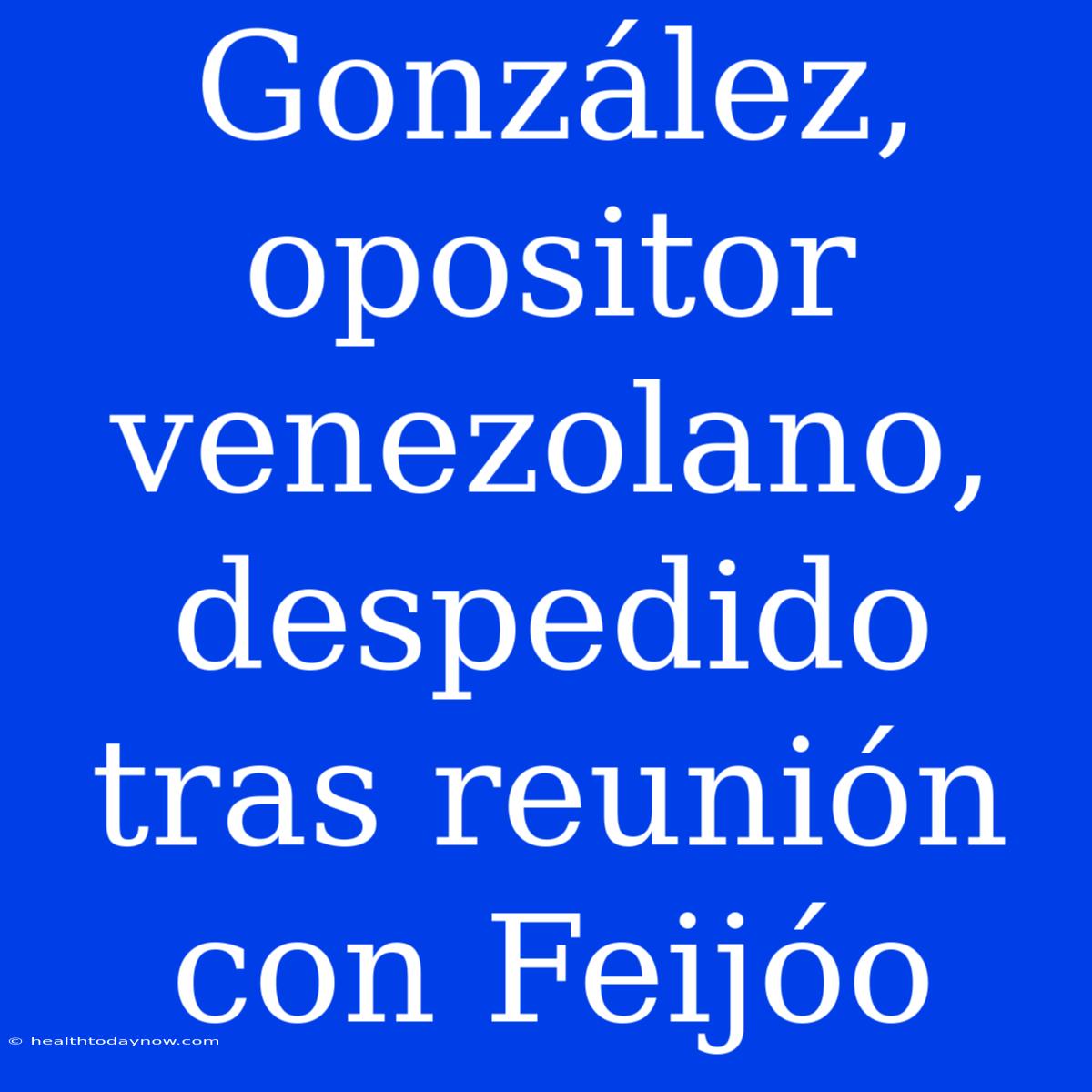 González, Opositor Venezolano, Despedido Tras Reunión Con Feijóo