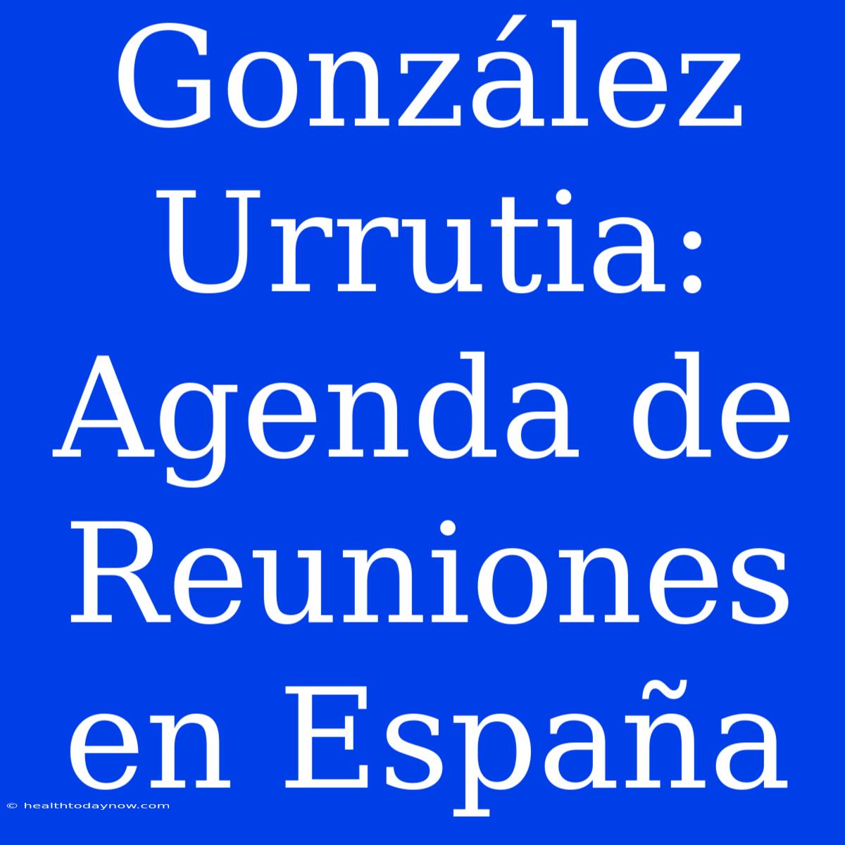 González Urrutia: Agenda De Reuniones En España 