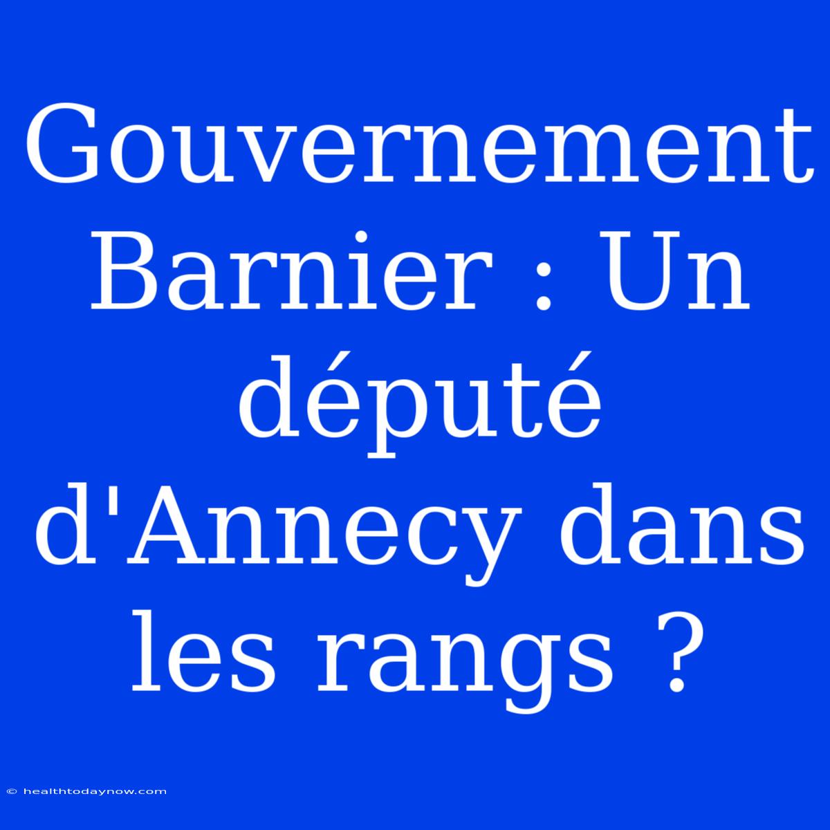 Gouvernement Barnier : Un Député D'Annecy Dans Les Rangs ?