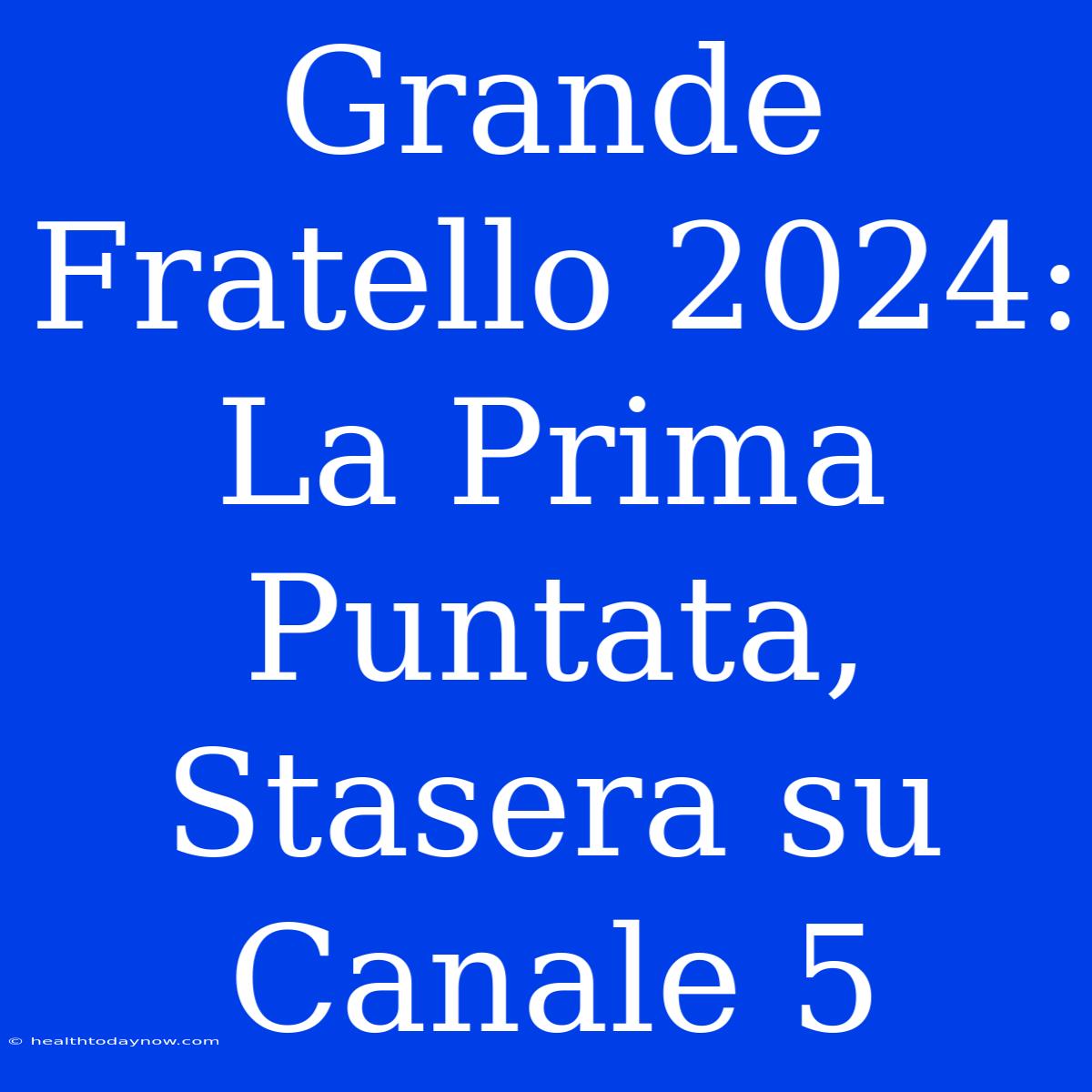 Grande Fratello 2024: La Prima Puntata, Stasera Su Canale 5