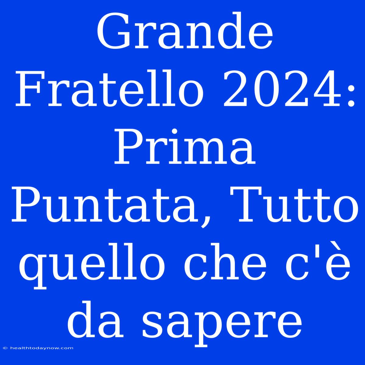 Grande Fratello 2024: Prima Puntata, Tutto Quello Che C'è Da Sapere