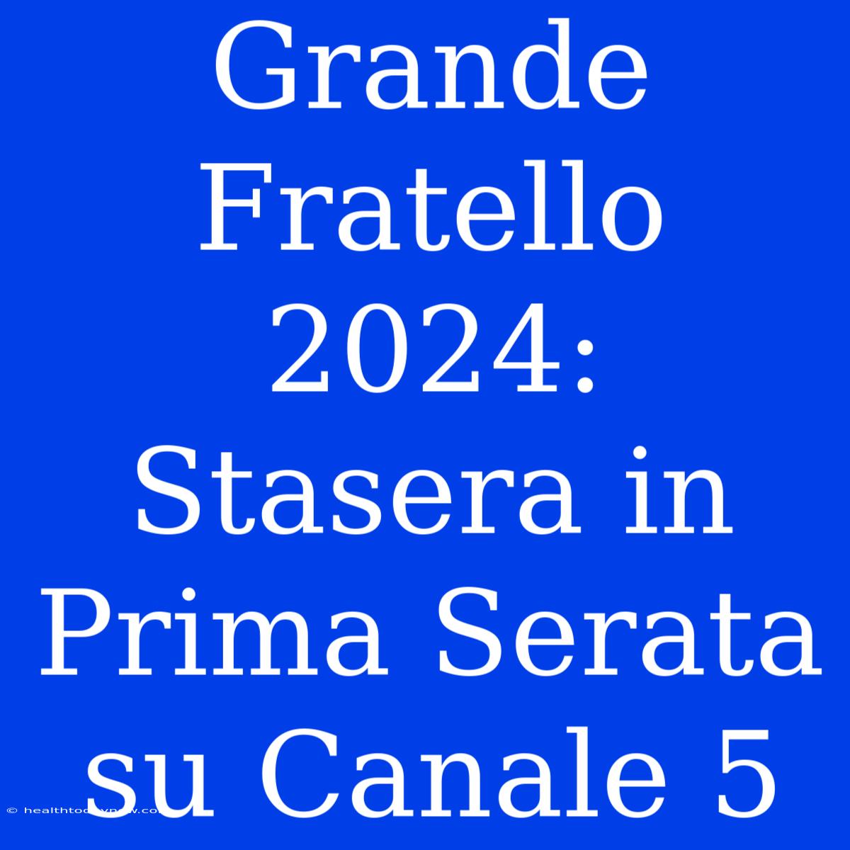 Grande Fratello 2024: Stasera In Prima Serata Su Canale 5