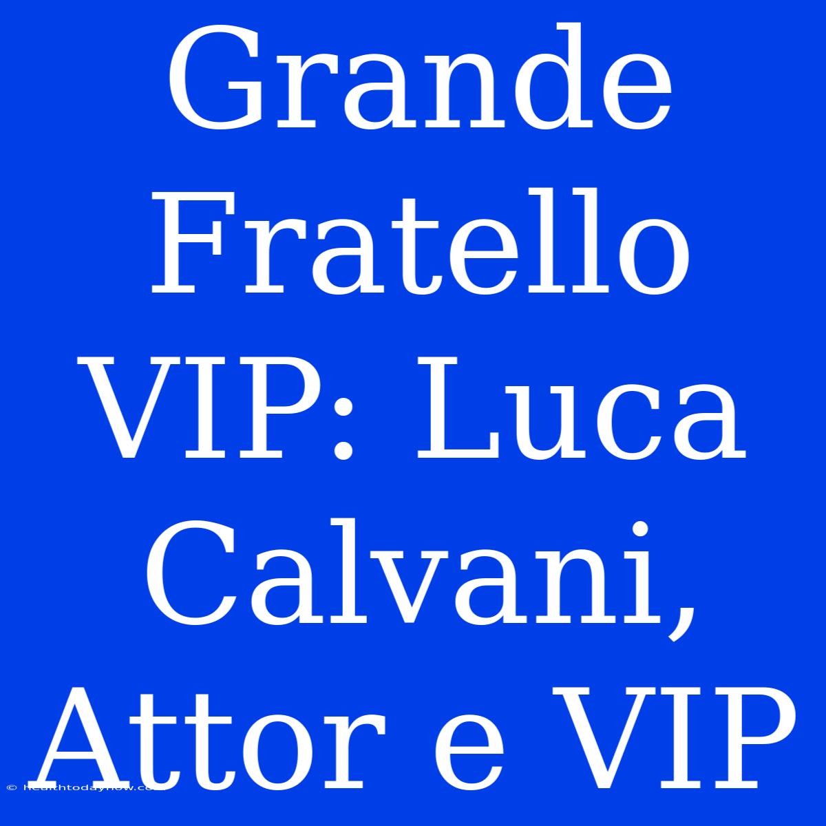 Grande Fratello VIP: Luca Calvani, Attor E VIP 