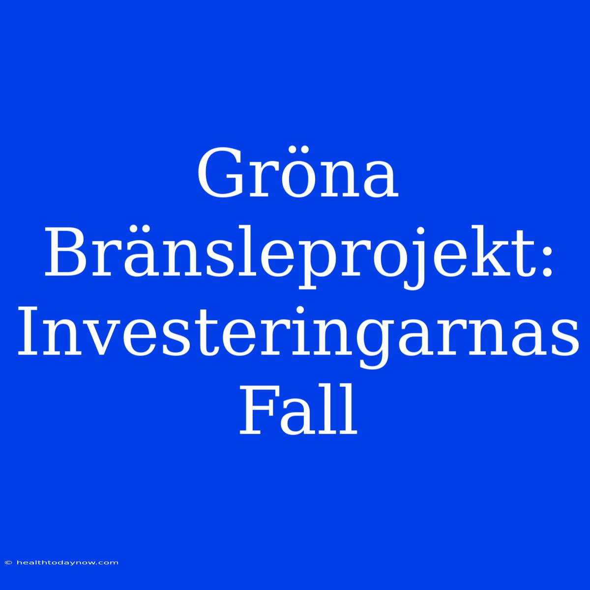 Gröna Bränsleprojekt: Investeringarnas Fall