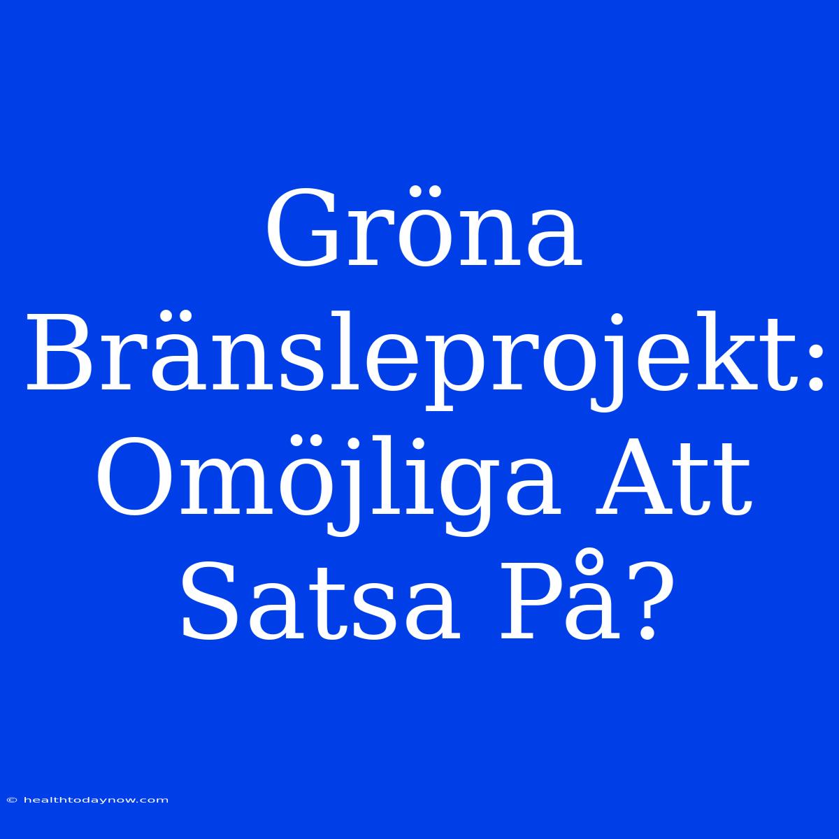 Gröna Bränsleprojekt: Omöjliga Att Satsa På?