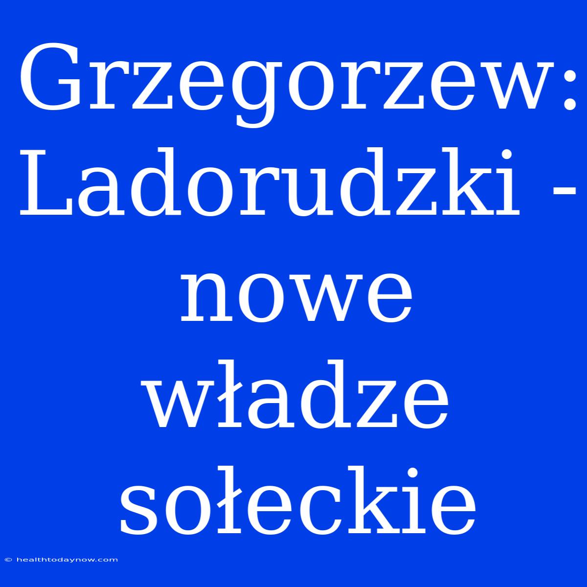 Grzegorzew: Ladorudzki - Nowe Władze Sołeckie