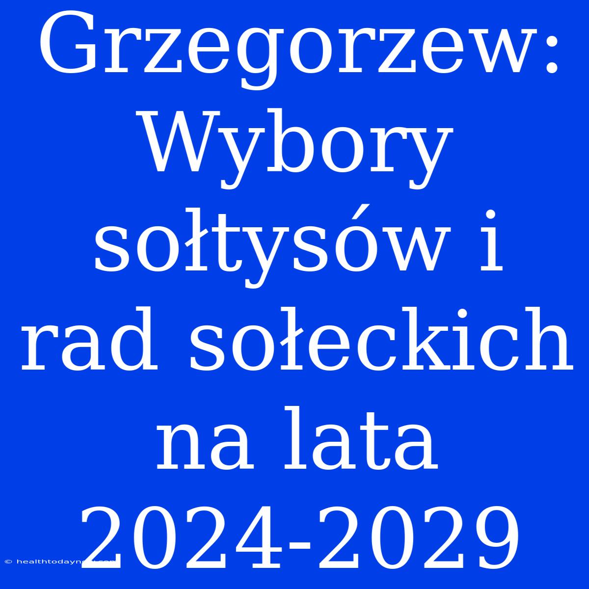 Grzegorzew: Wybory Sołtysów I Rad Sołeckich Na Lata 2024-2029