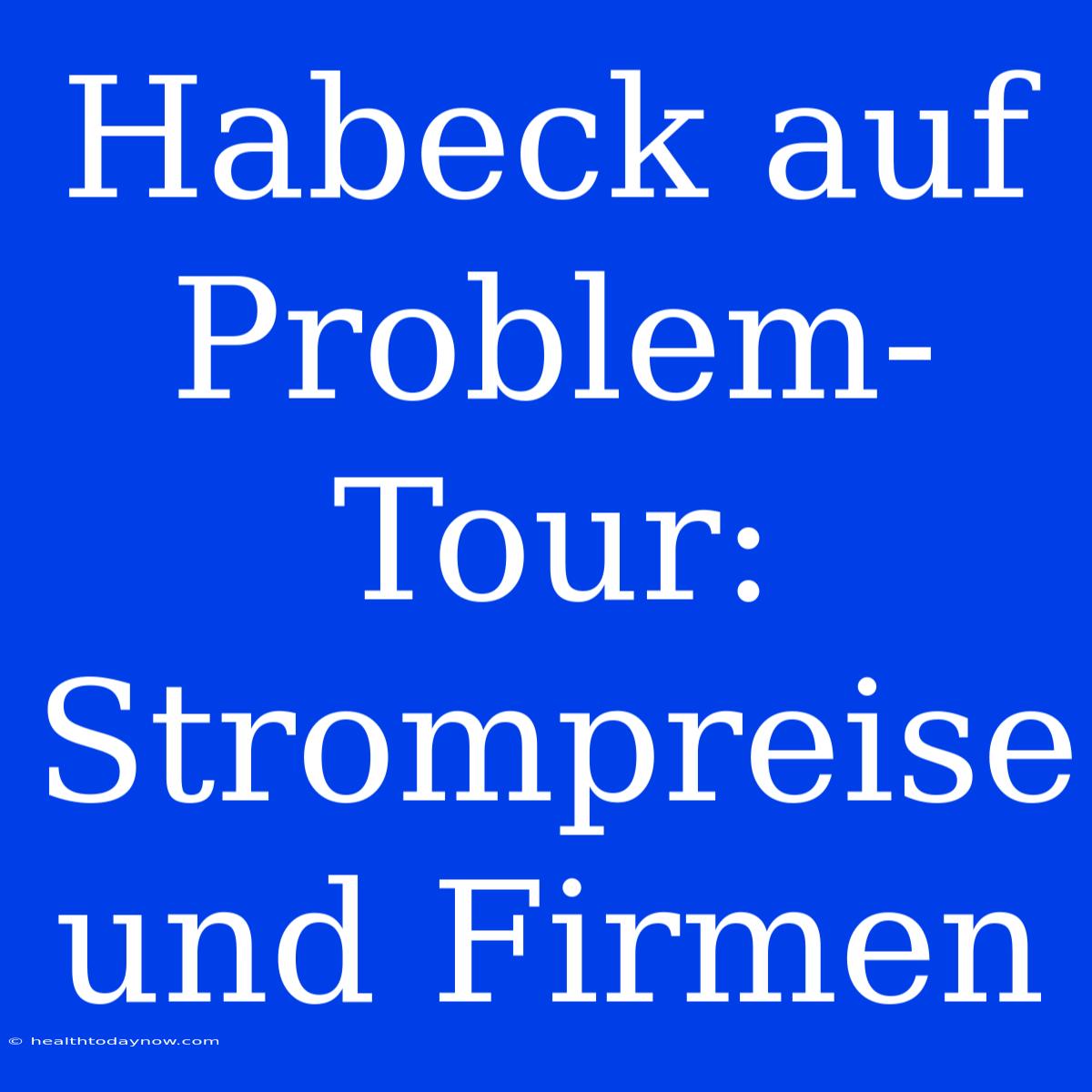 Habeck Auf Problem-Tour: Strompreise Und Firmen