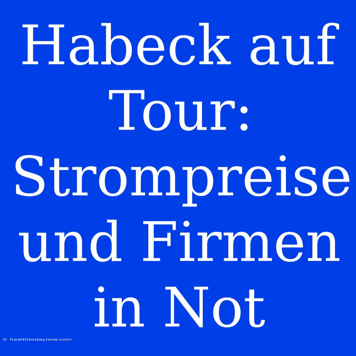 Habeck Auf Tour: Strompreise Und Firmen In Not