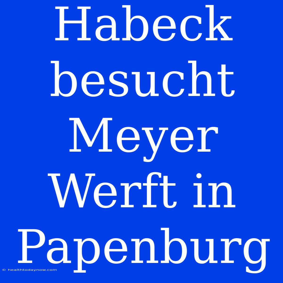 Habeck Besucht Meyer Werft In Papenburg