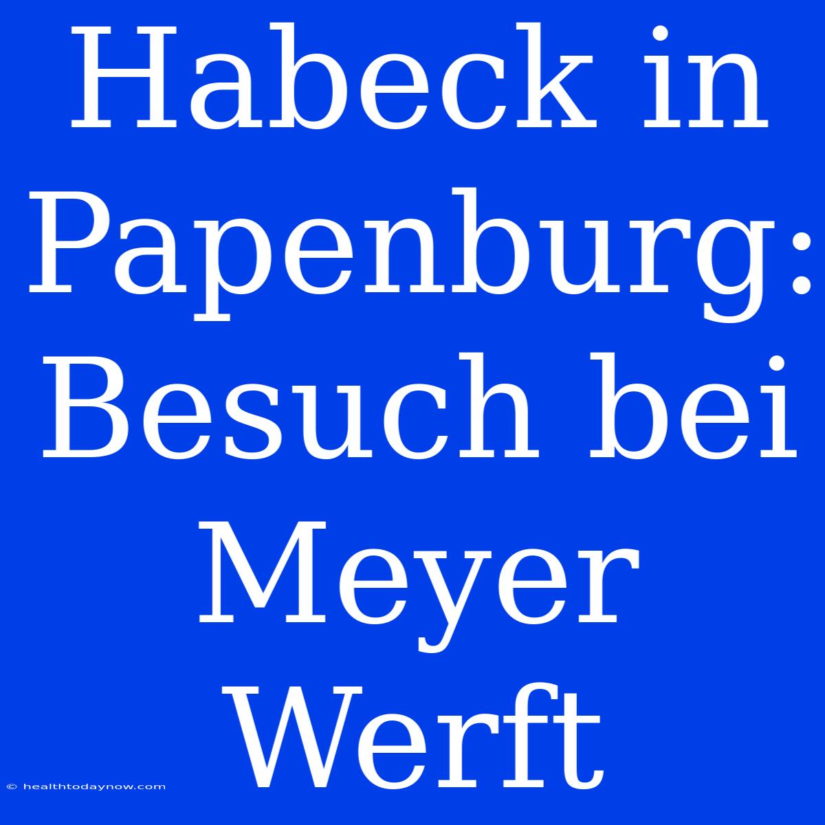 Habeck In Papenburg: Besuch Bei Meyer Werft