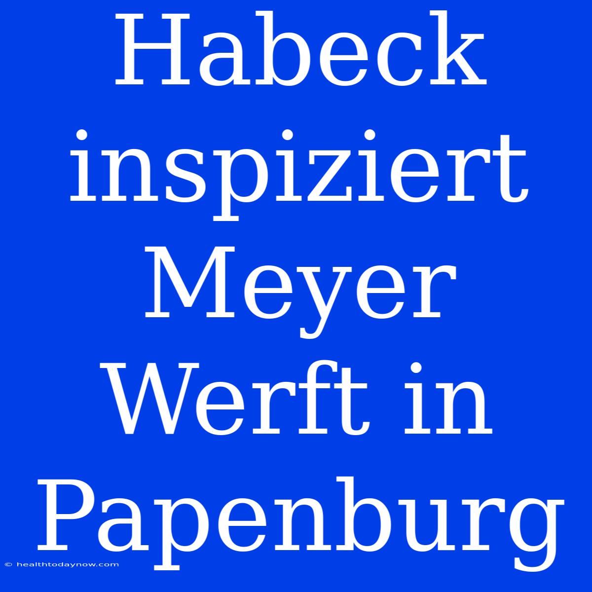 Habeck Inspiziert Meyer Werft In Papenburg