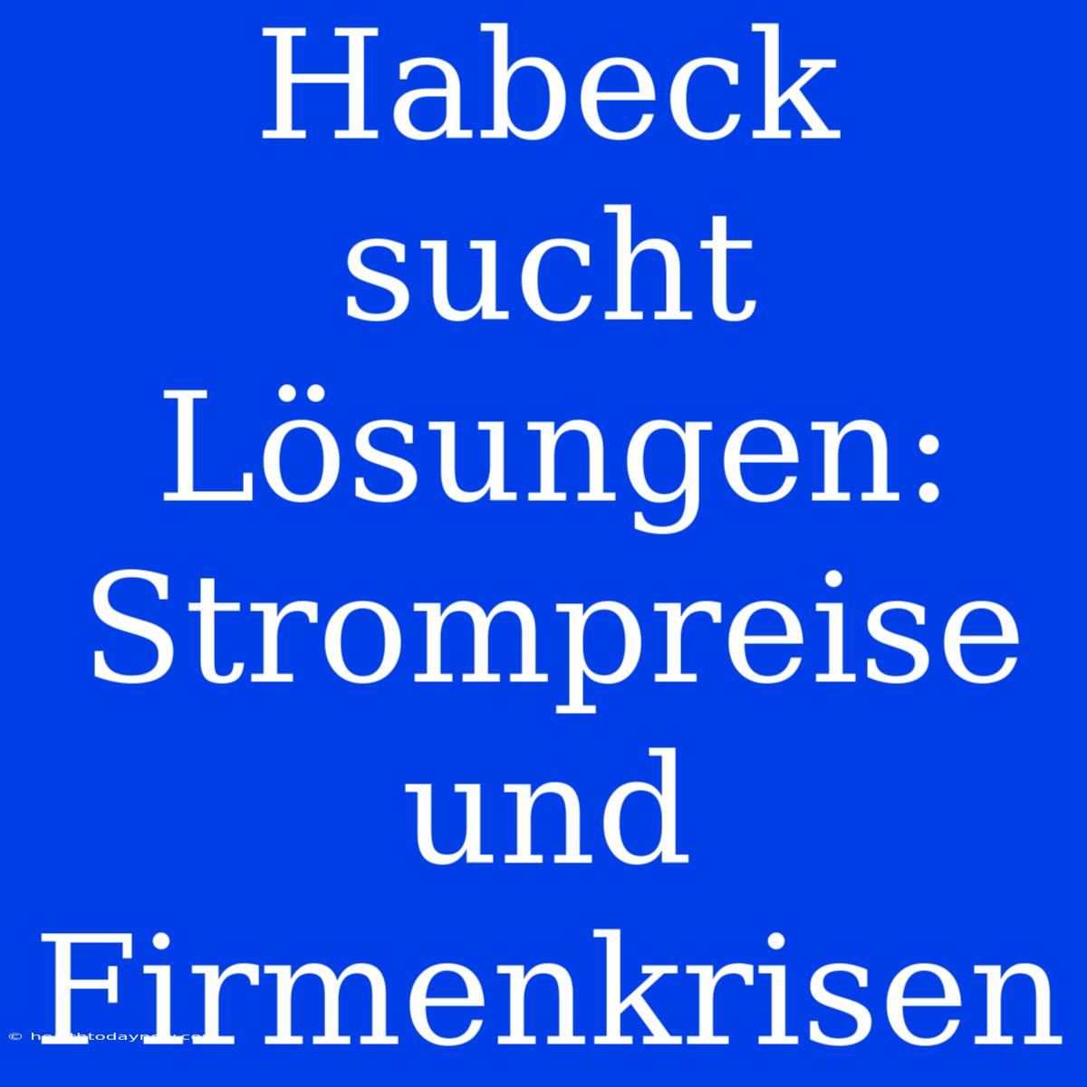 Habeck Sucht Lösungen: Strompreise Und Firmenkrisen