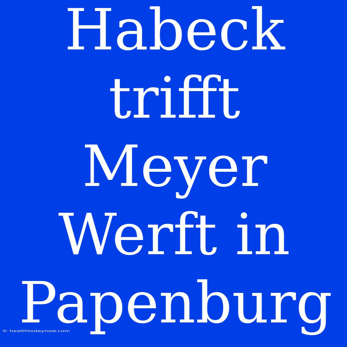 Habeck Trifft Meyer Werft In Papenburg