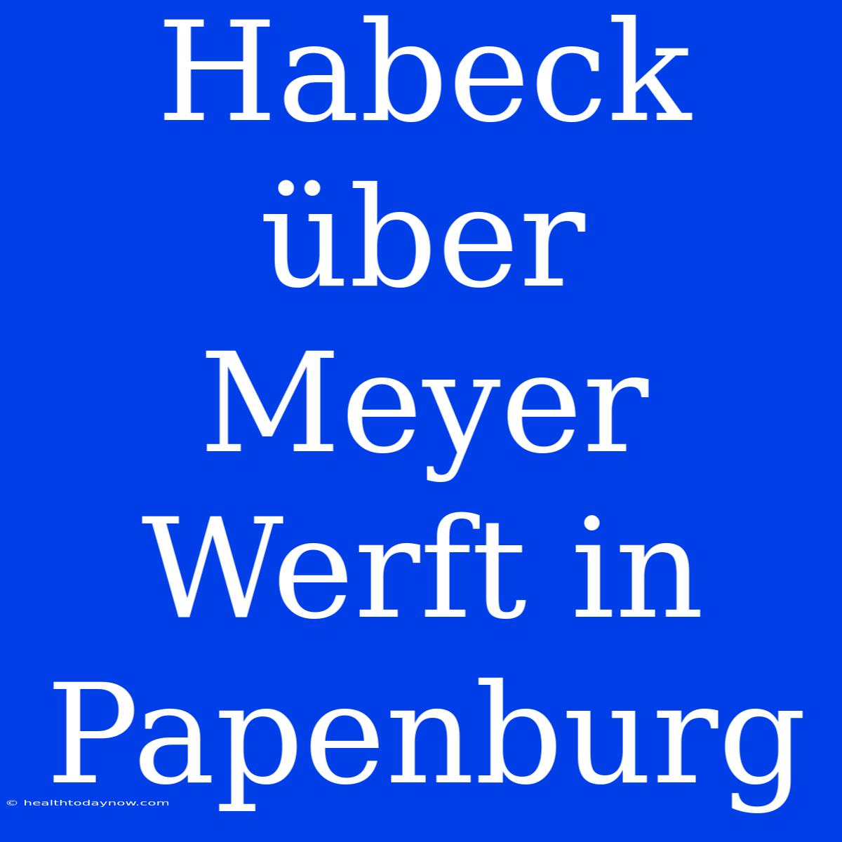 Habeck Über Meyer Werft In Papenburg