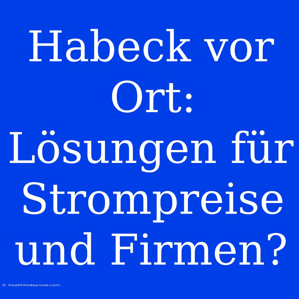 Habeck Vor Ort: Lösungen Für Strompreise Und Firmen?