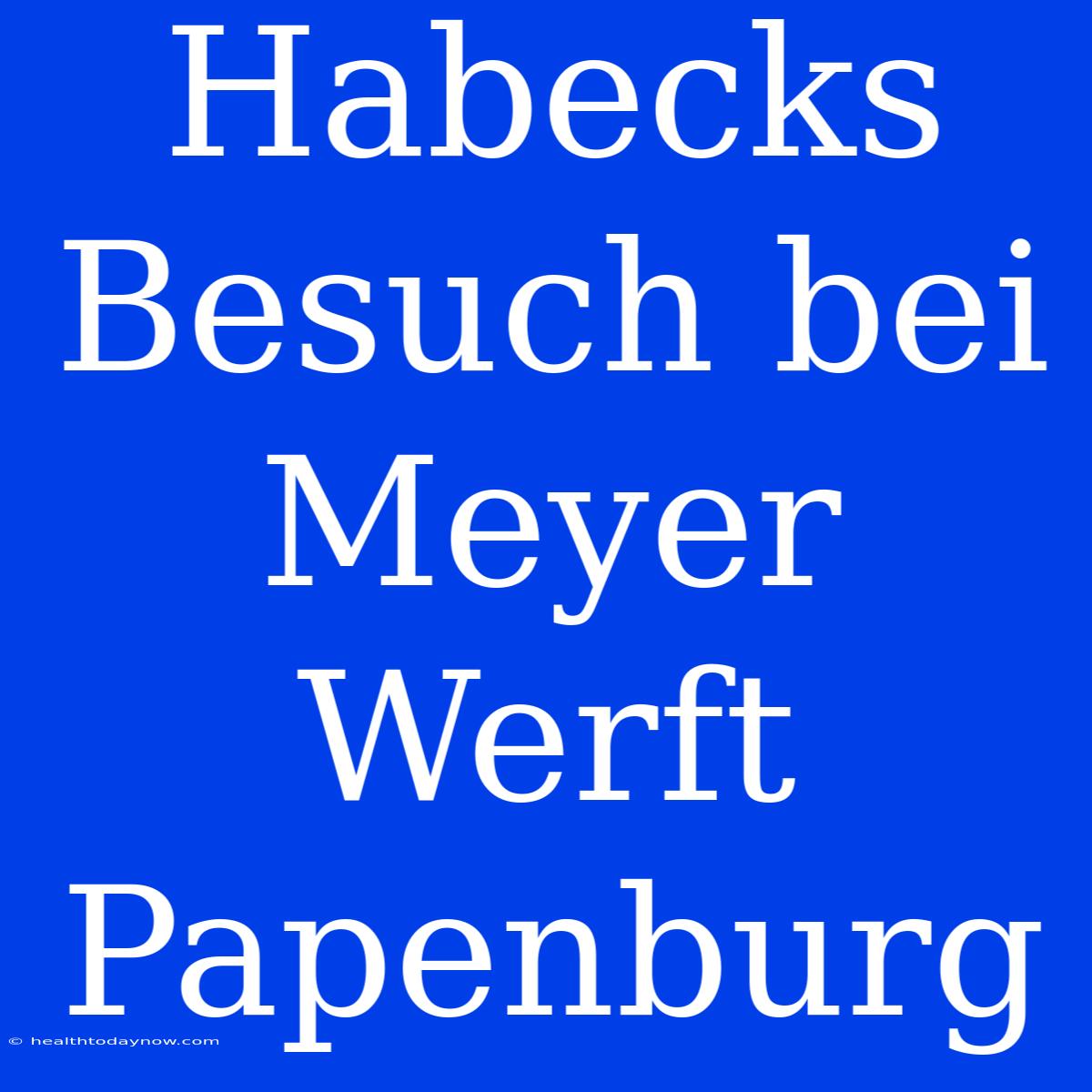 Habecks Besuch Bei Meyer Werft Papenburg