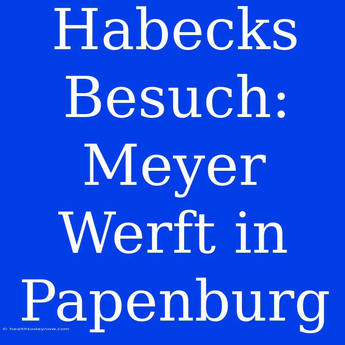 Habecks Besuch: Meyer Werft In Papenburg