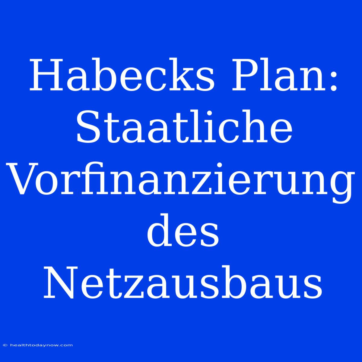 Habecks Plan: Staatliche Vorfinanzierung Des Netzausbaus