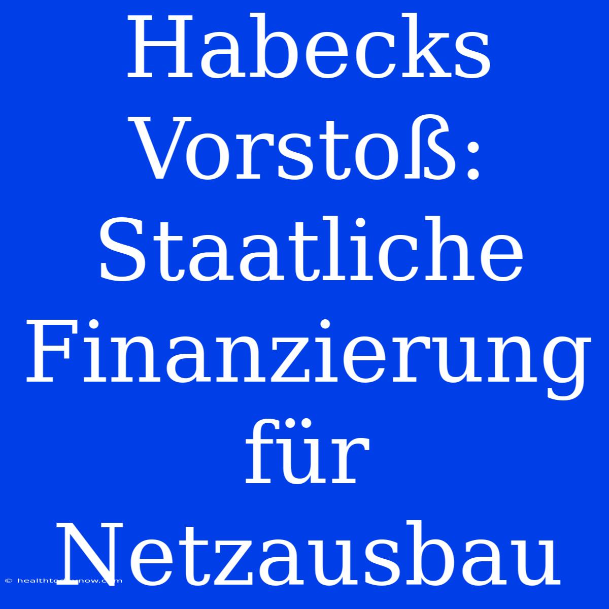 Habecks Vorstoß: Staatliche Finanzierung Für Netzausbau