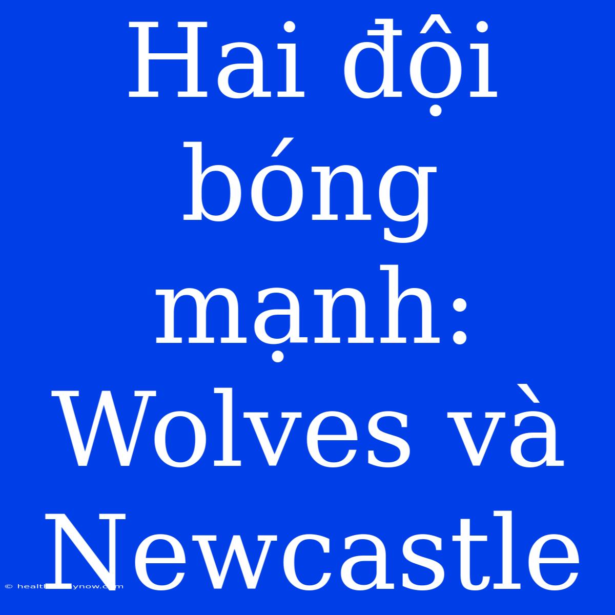 Hai Đội Bóng Mạnh: Wolves Và Newcastle