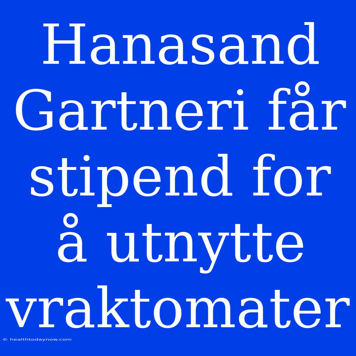 Hanasand Gartneri Får Stipend For Å Utnytte Vraktomater