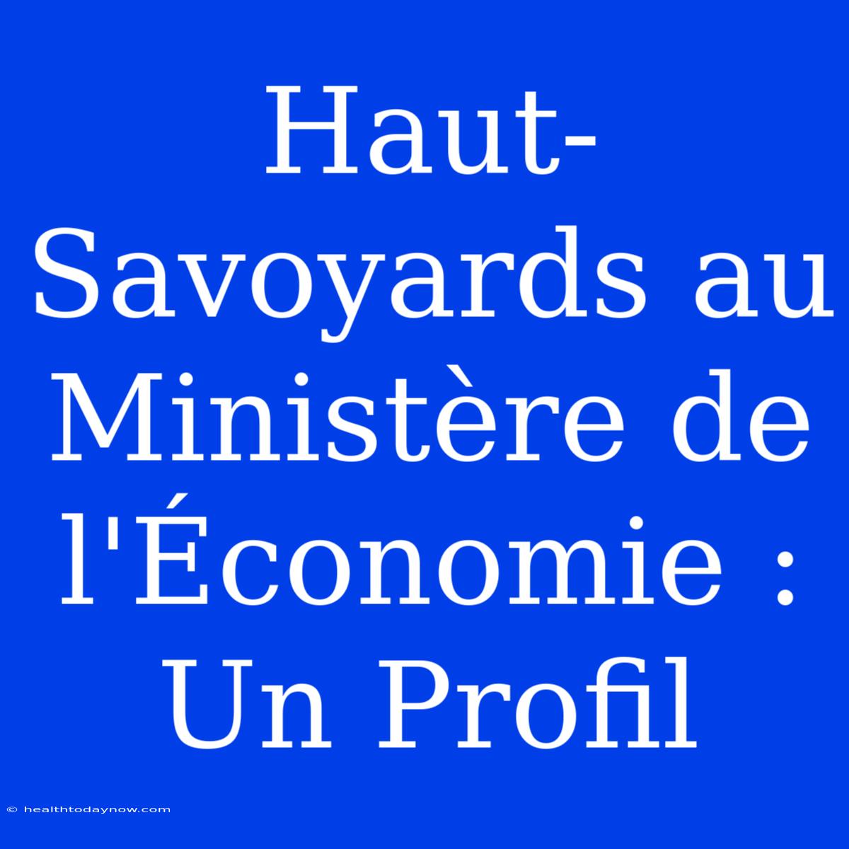 Haut-Savoyards Au Ministère De L'Économie : Un Profil