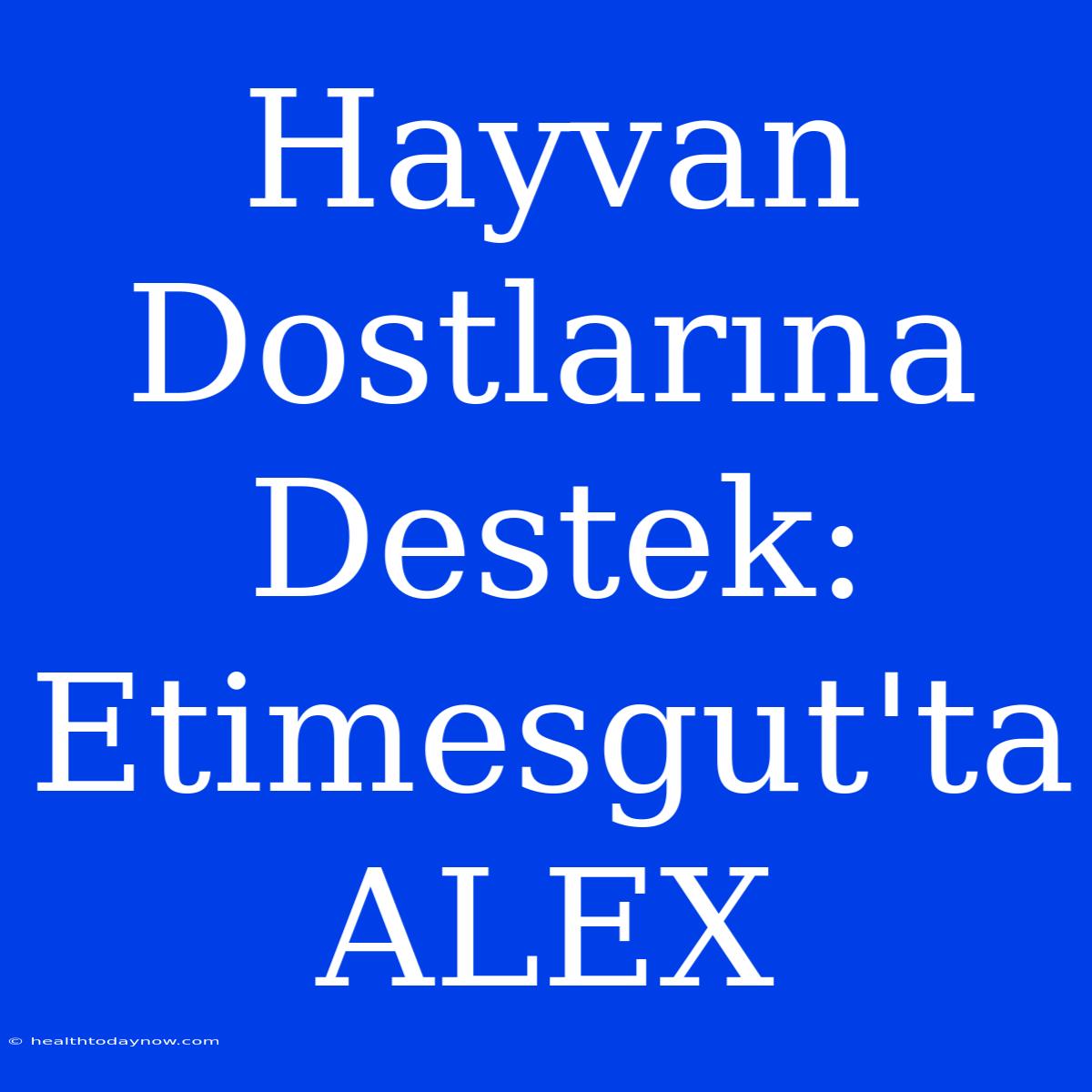 Hayvan Dostlarına Destek: Etimesgut'ta ALEX