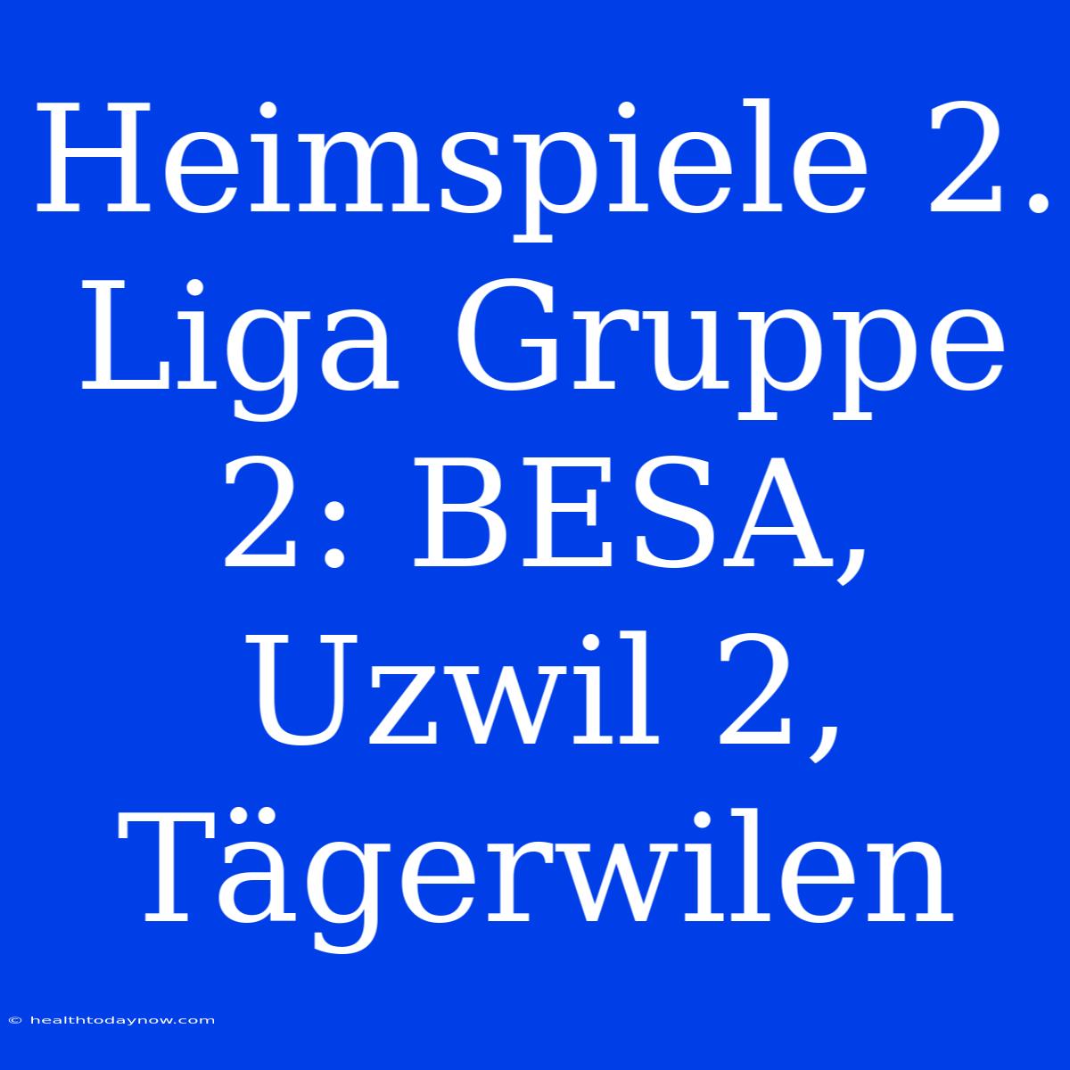 Heimspiele 2. Liga Gruppe 2: BESA, Uzwil 2, Tägerwilen