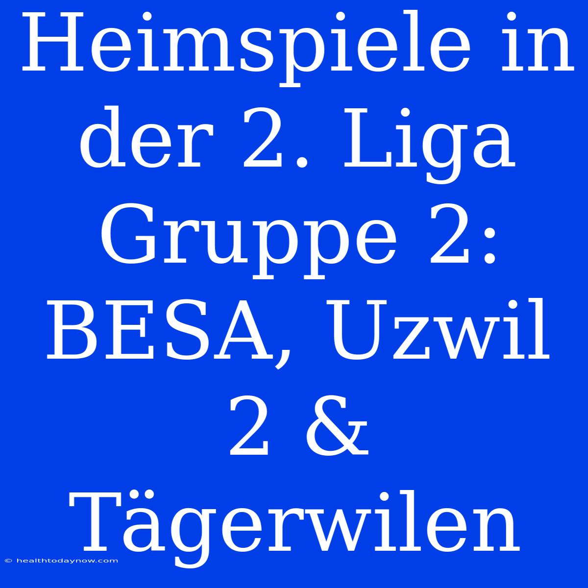 Heimspiele In Der 2. Liga Gruppe 2: BESA, Uzwil 2 & Tägerwilen