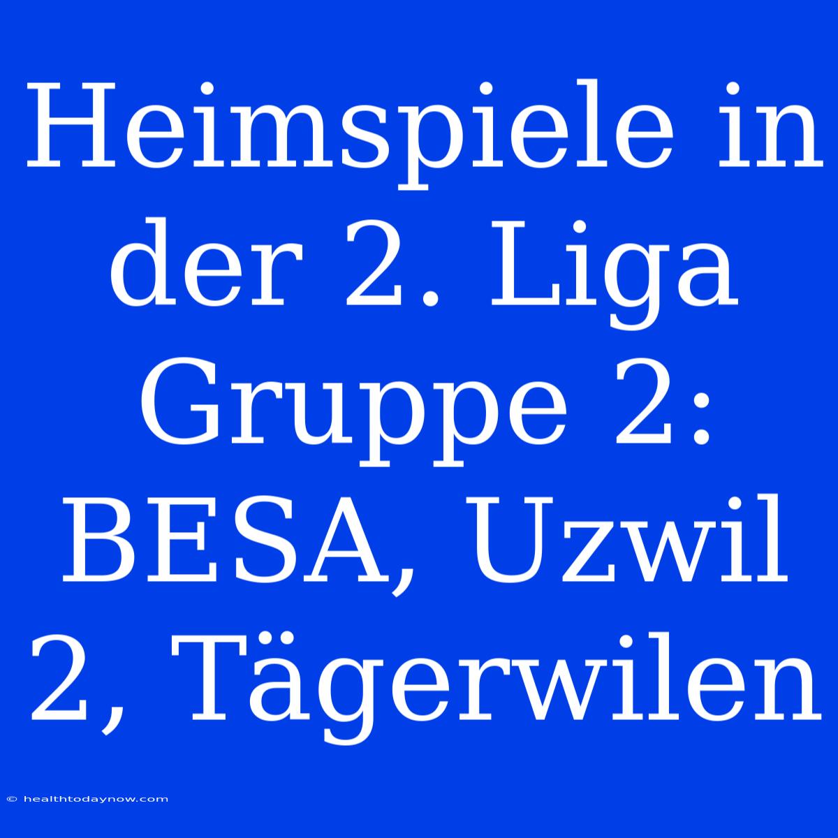 Heimspiele In Der 2. Liga Gruppe 2: BESA, Uzwil 2, Tägerwilen