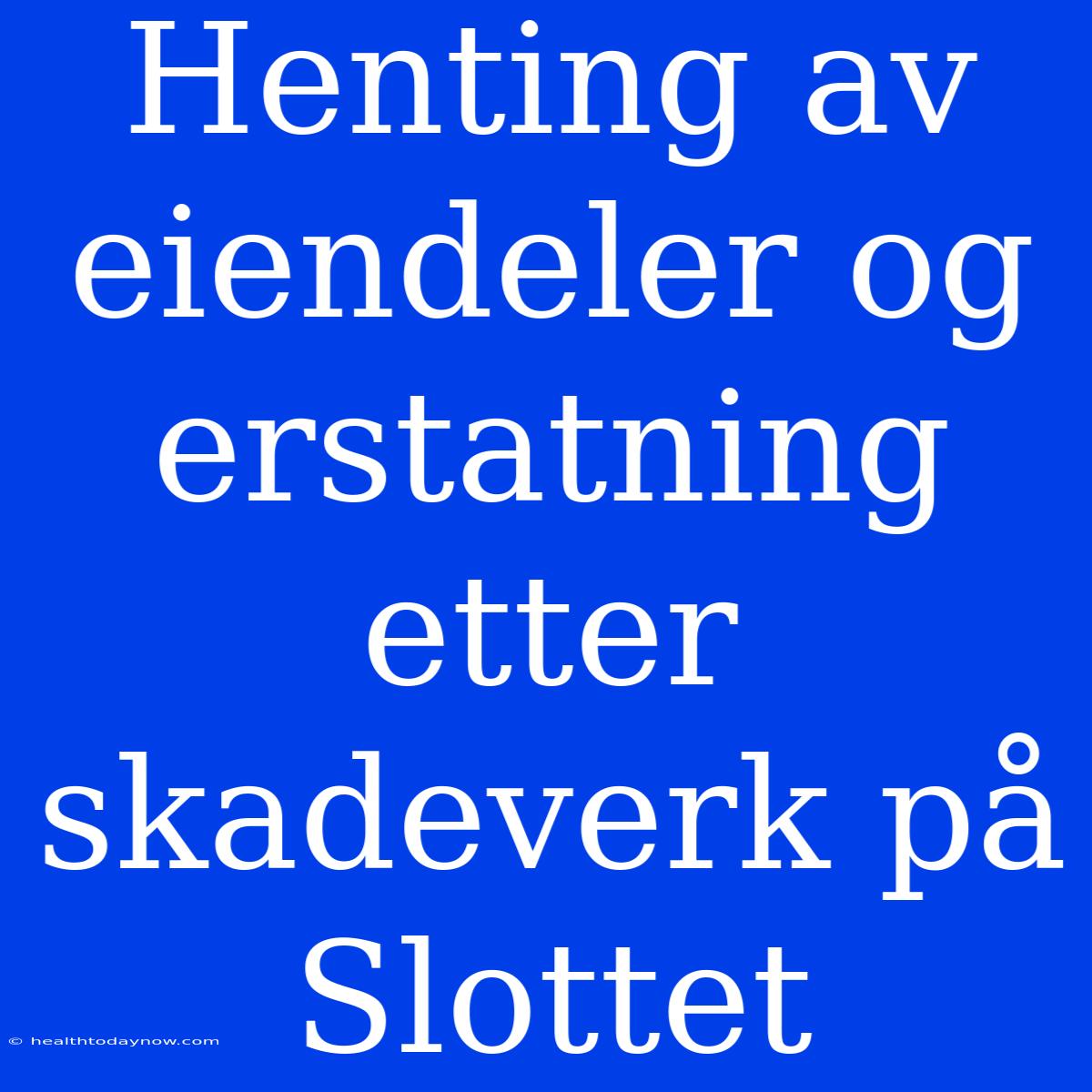 Henting Av Eiendeler Og Erstatning Etter Skadeverk På Slottet