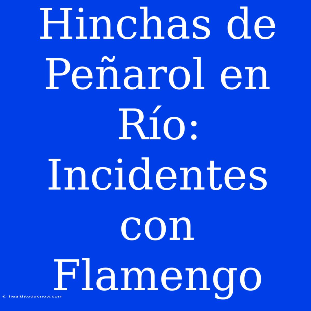 Hinchas De Peñarol En Río: Incidentes Con Flamengo