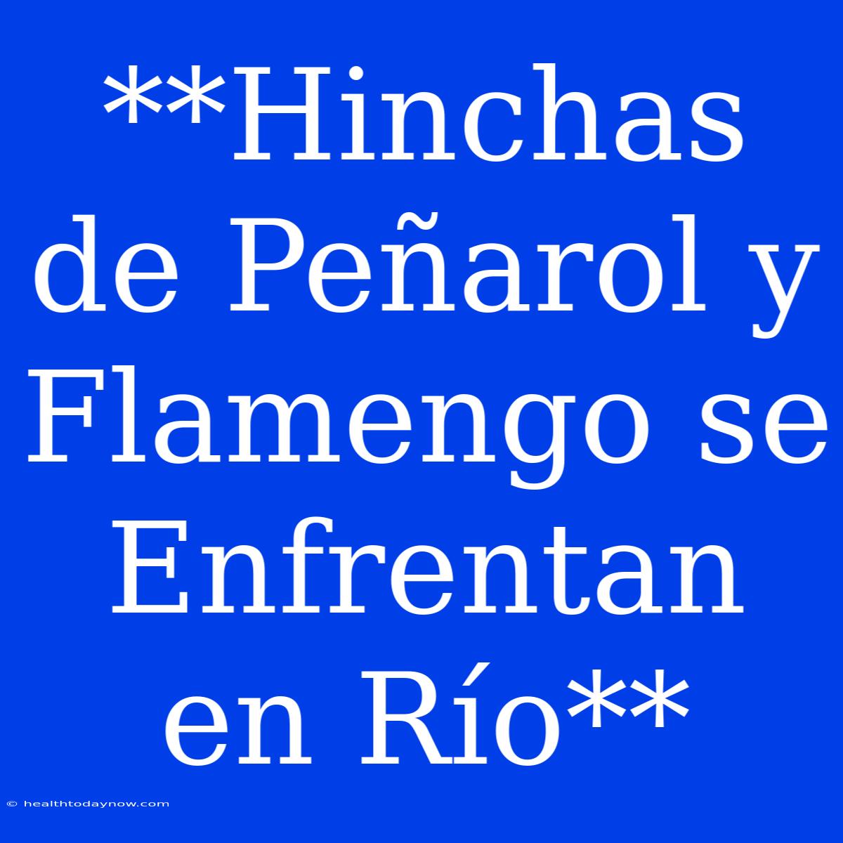 **Hinchas De Peñarol Y Flamengo Se Enfrentan En Río**