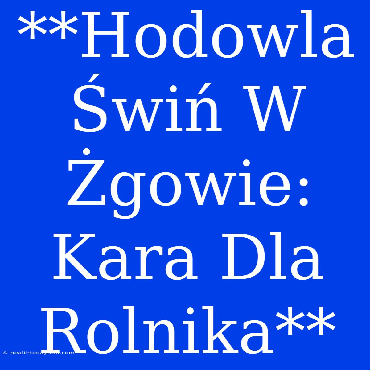 **Hodowla Świń W Żgowie: Kara Dla Rolnika**