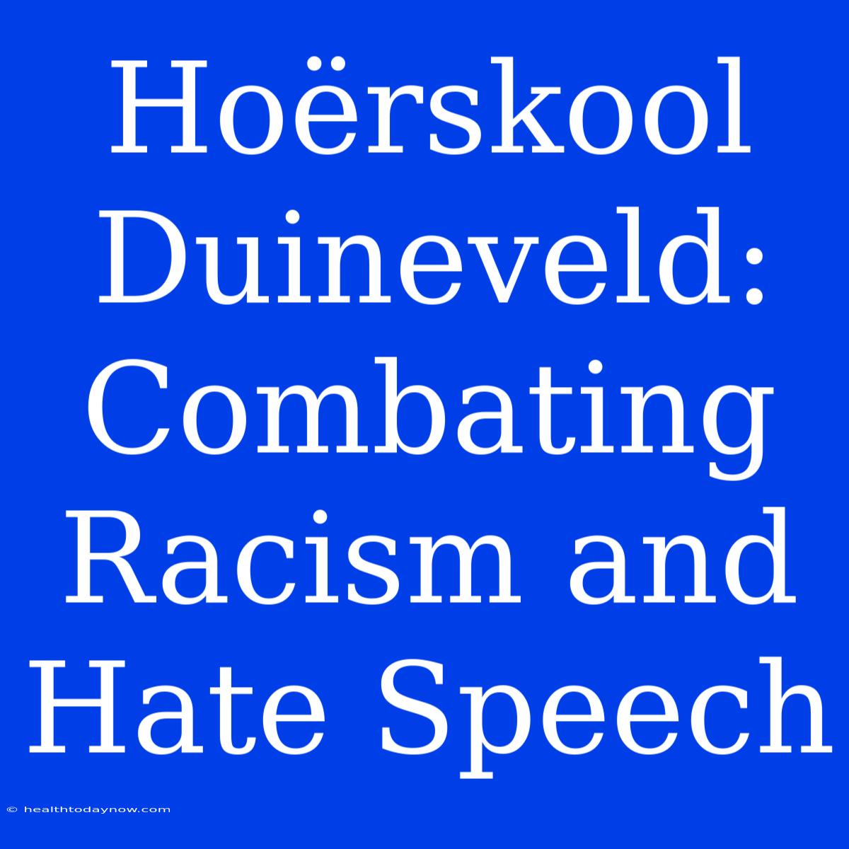 Hoërskool Duineveld: Combating Racism And Hate Speech 