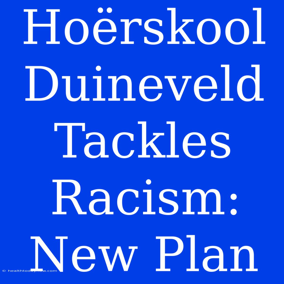 Hoërskool Duineveld Tackles Racism: New Plan