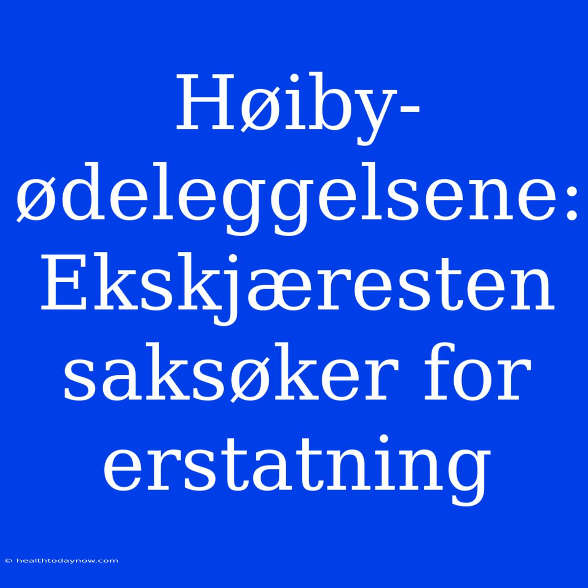 Høiby-ødeleggelsene: Ekskjæresten Saksøker For Erstatning