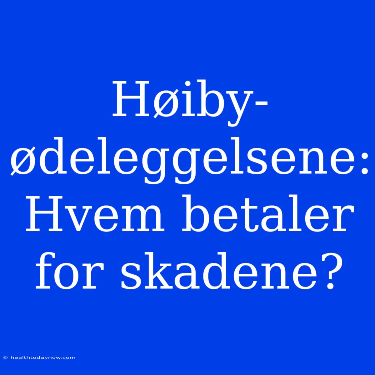 Høiby-ødeleggelsene: Hvem Betaler For Skadene?