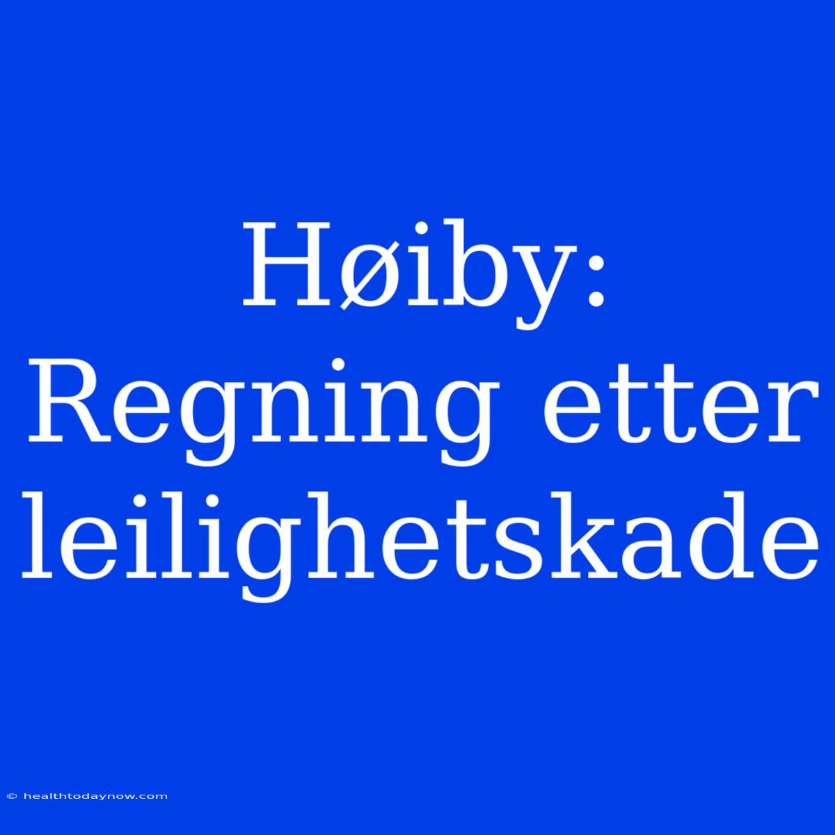 Høiby: Regning Etter Leilighetskade