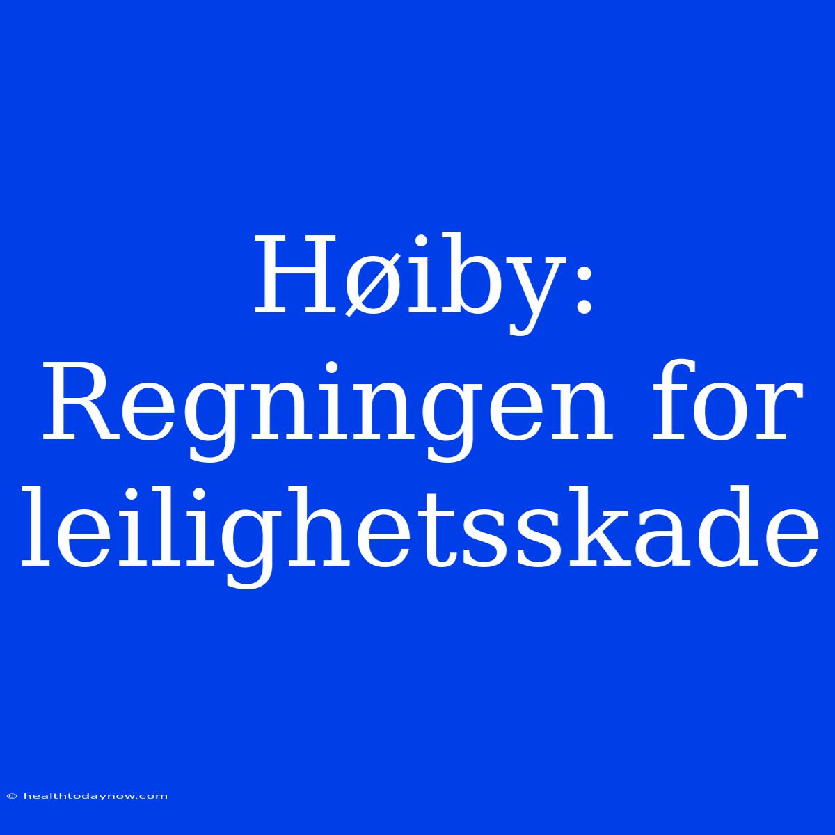 Høiby: Regningen For Leilighetsskade