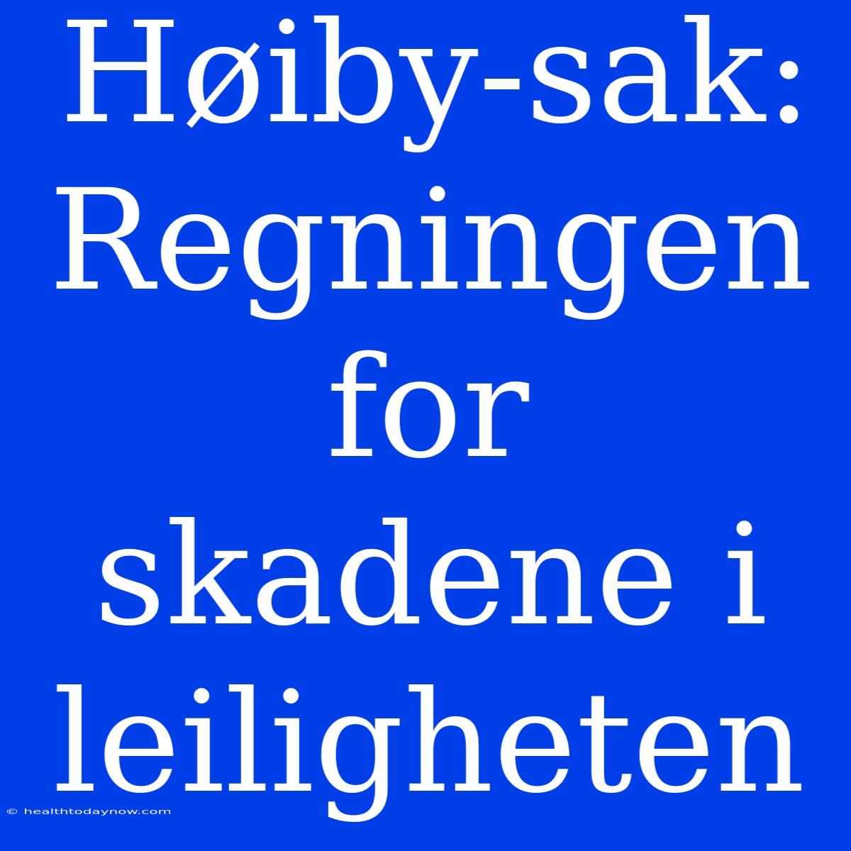 Høiby-sak: Regningen For Skadene I Leiligheten