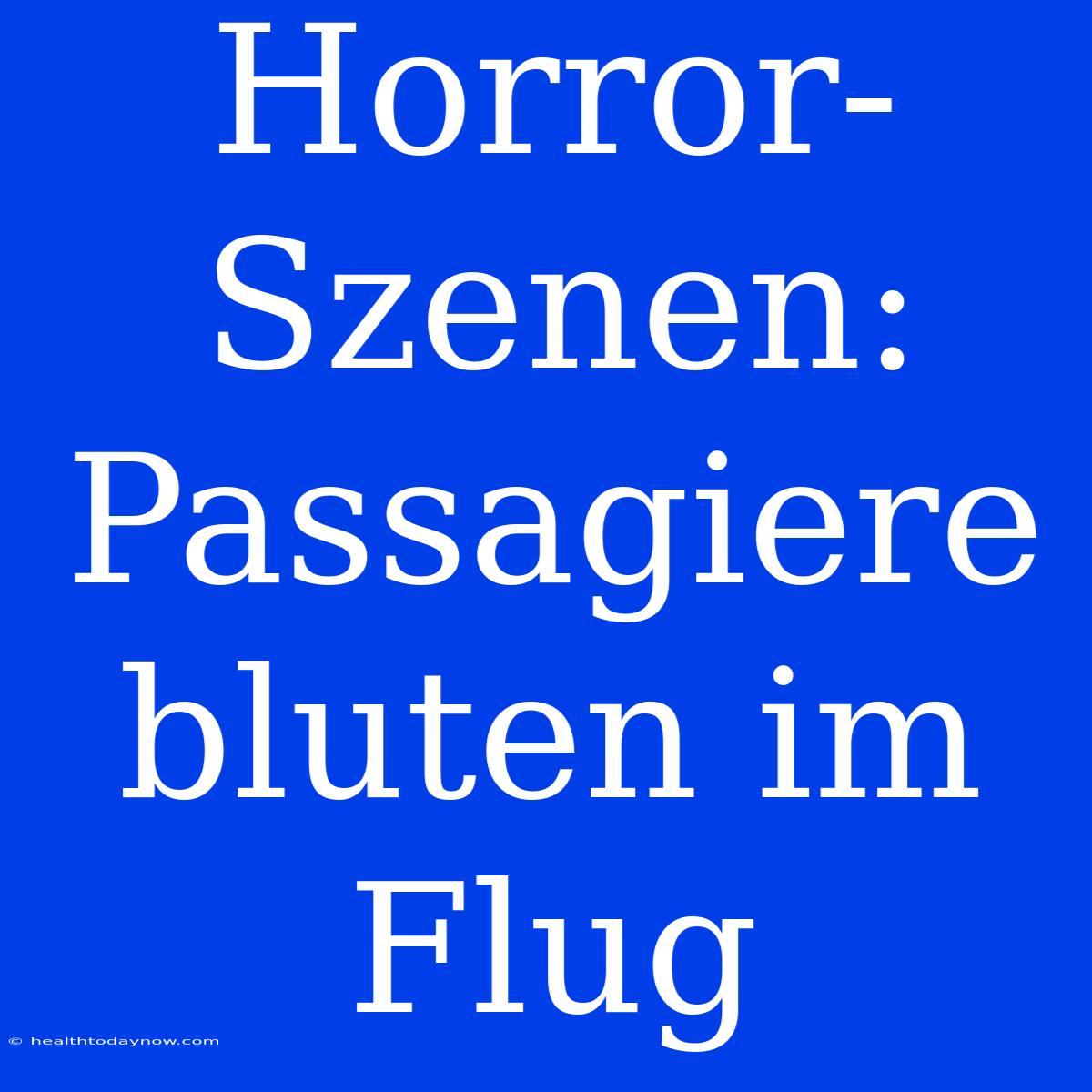 Horror-Szenen: Passagiere Bluten Im Flug