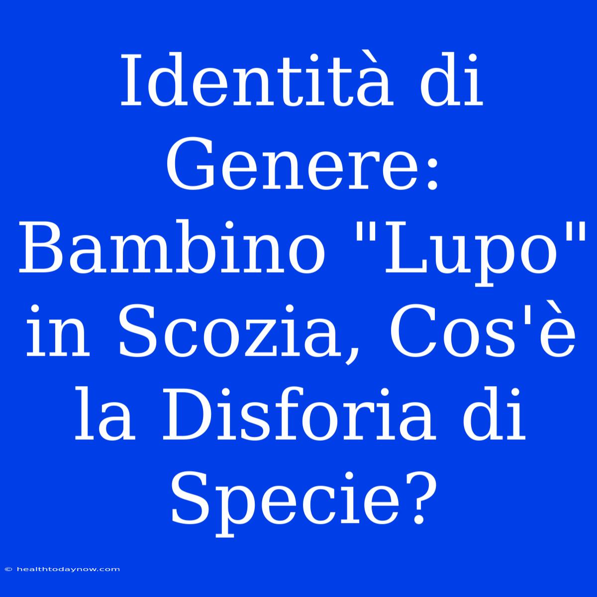 Identità Di Genere: Bambino 