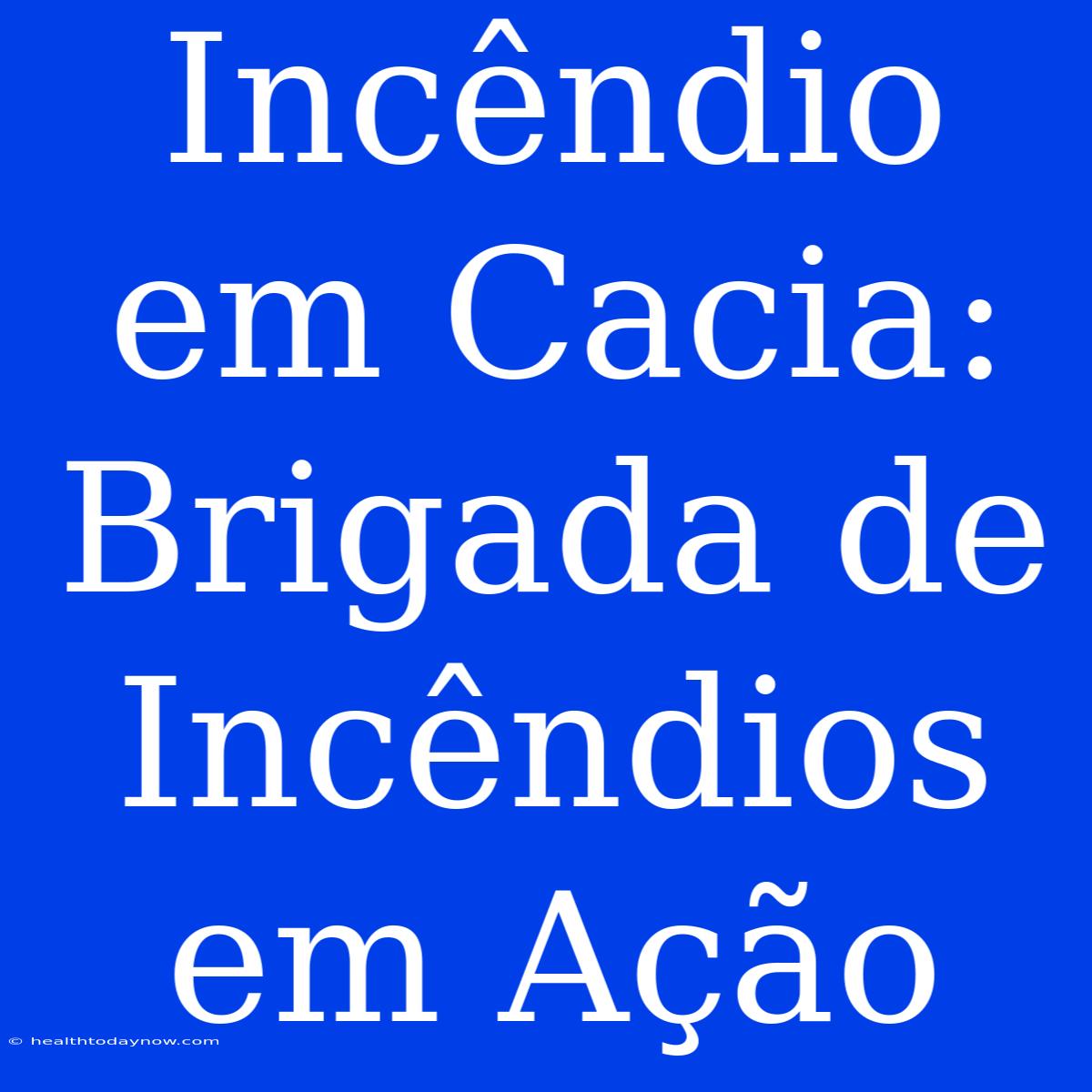 Incêndio Em Cacia: Brigada De Incêndios Em Ação