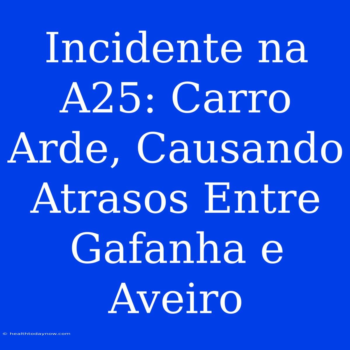 Incidente Na A25: Carro Arde, Causando Atrasos Entre Gafanha E Aveiro