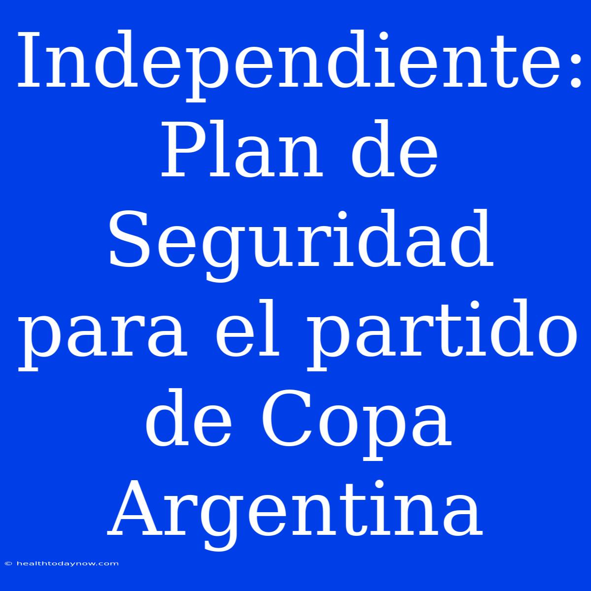 Independiente: Plan De Seguridad Para El Partido De Copa Argentina